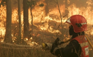 İspanya'da aşırı sıcaklar nedeniyle 30'dan farklı yerde orman yangını çıktı