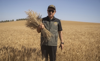 Bakan Kirişci: Buğday üretimimiz yurt içi talebi karşılamada küresel krizlerden etkilenmeyecek noktada