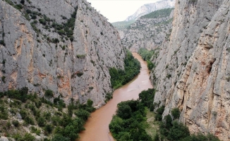 Sakarya Nehri boyunca uzanan 1 kilometrelik kanyon doğa tutkunlarını bekliyor