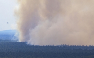 Almanya’da en fazla ormanlık alan bu yılki yangınlarda kül oldu