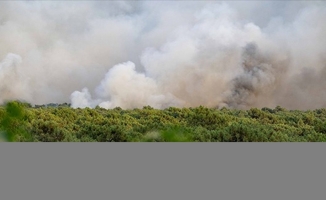 Fransa'da bu yıl yangınlar nedeniyle 47 bin hektardan fazla yeşil alan zarar gördü
