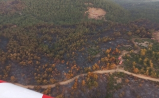 Manisa'daki orman yangınına müdahale sürdü
