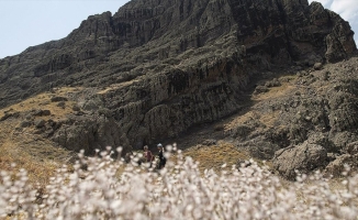 Tunceli'deki Düzgün Baba Dağı yerli ve yabancı turistleri ağırlıyor