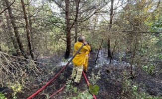 Uludağ'da çıkan orman yangını kontrol altına alındı