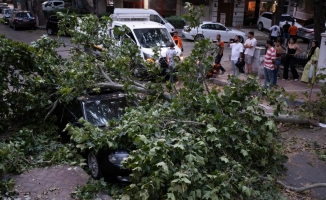 Ankara'da rüzgarın etkisiyle devrilen ağaç park halindeki otomobile zarar verdi