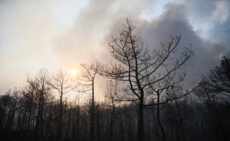 GÜNCELLEME 3 - Eskişehir'de ormanlık alanda etkili olan yangına müdahale ediliyor