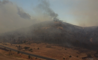 GÜNCELLEME 4 - Eskişehir'de ormanlık alanda çıkan yangına müdahale ediliyor