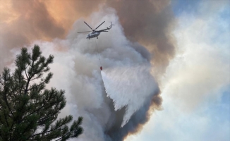 GÜNCELLEME - Eskişehir'de ormanlık alanda çıkan yangına müdahale ediliyor