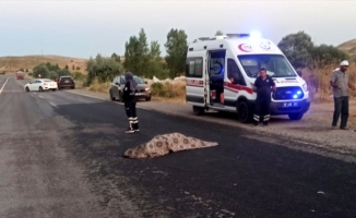 Sivas'ta cipin çarptığı yaya hayatını kaybetti