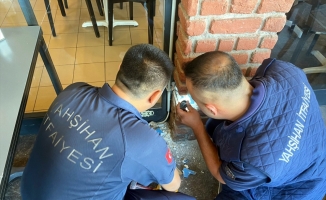 Kırıkkale'de bir iş yerinde camla kiriş arasına sıkışan yavru kedi kurtarıldı