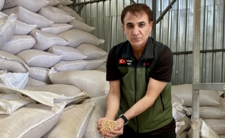 Kırşehir'de 700 bin dekara nohut ekilmesi hedefleniyor