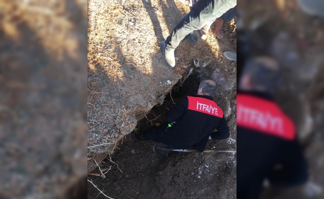Sivas'ta kuyuya düşen köpeği itfaiye ekipleri kurtardı