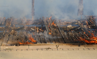 Ankara'da Mogan Gölü kıyısındaki sazlık yangını söndürüldü