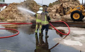 Ankara'da Besi Çiftliğinde Yangın Çıktı